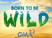 Born To Be Wild May 4 2025