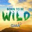 Born To Be Wild June 8 2025